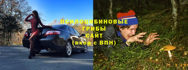 круглые Алексеевка
