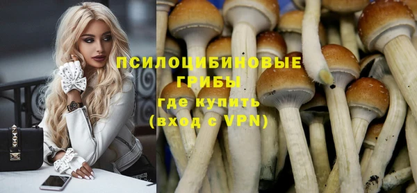 прущий лед Алексин