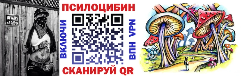 как найти наркотики  Бежецк  hydra как зайти  Псилоцибиновые грибы GOLDEN TEACHER 