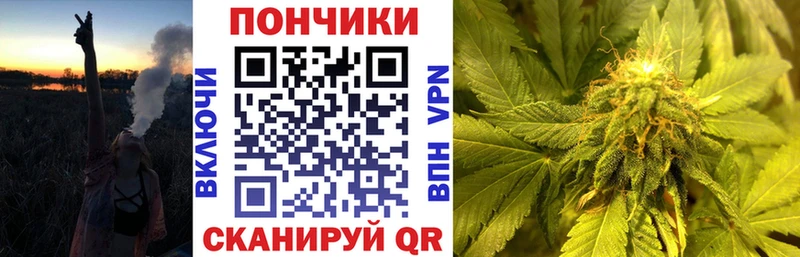 Бошки марихуана OG Kush Бежецк